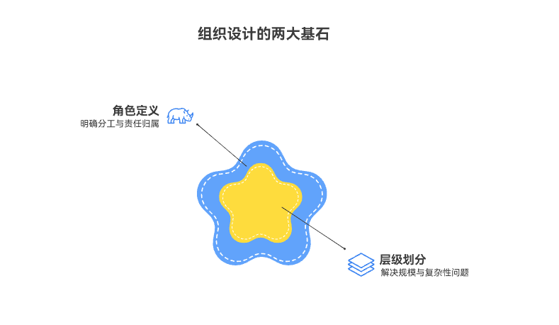 团队层级划分与角色定义