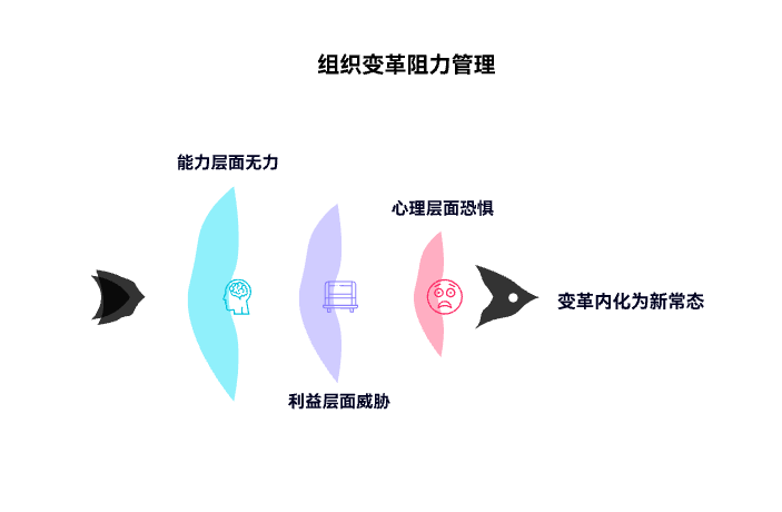 组织变革的阻力与应对策略